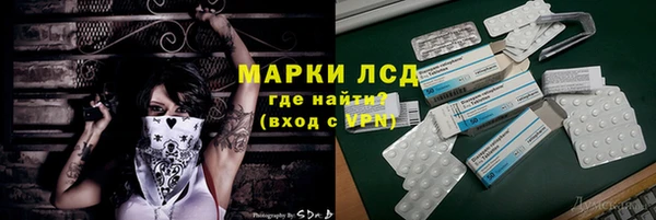 дмт Алзамай