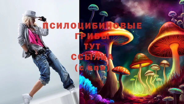 МДПВ Алексин