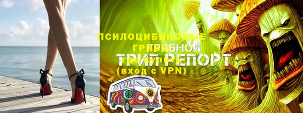 дмт Алзамай