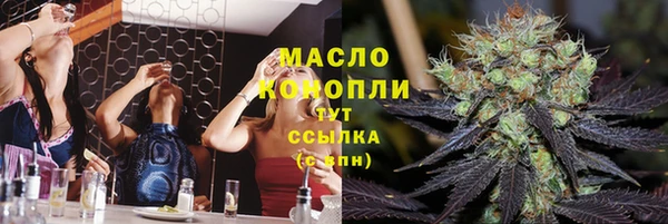 дмт Алзамай