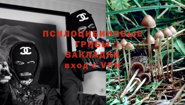 дмт Алзамай